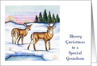 Christmas Money Card for Grandson, deer card