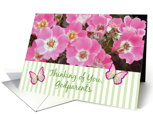 Thinking of You, to Godparents, pink old fashioned roses card (960129)