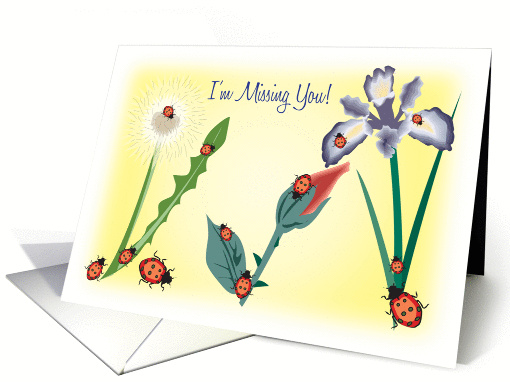 I'm Missing You, Ladybugs, flowers card (961243)