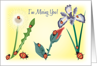 I’m Missing You, Ladybugs, flowers card