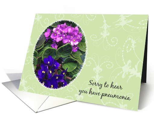 Get Well Have Pneumonia Violets card (984495)