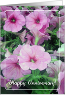 Happy Wedding Anniversary, Summer Petunias card