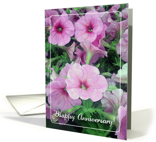 Happy Wedding Anniversary, July, petunias card (984753)