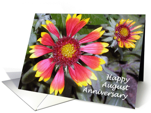 Happy Wedding Anniversary, August, flowers card (985185)
