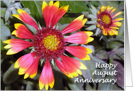 Happy Wedding Anniversary, August, flowers card