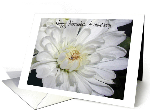 Happy November Anniversary, white mum card (985199)