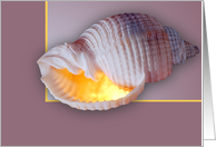 Tessellata card
