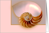 Inside Nautilus card