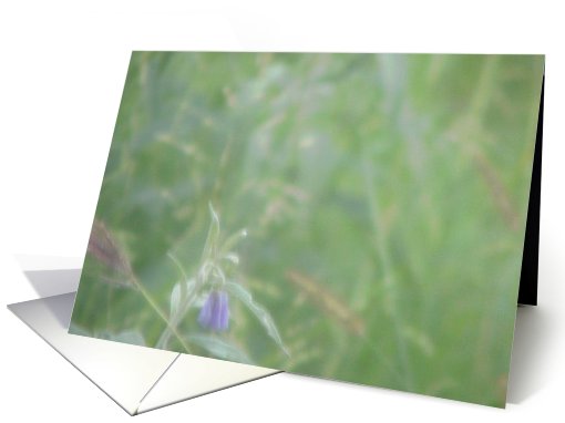 Peace in the meadow card (453614)