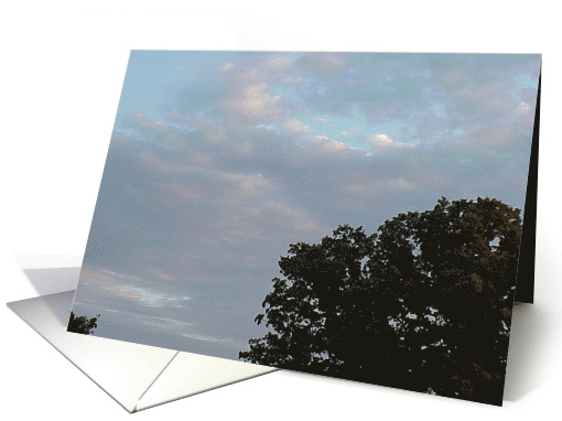 Blue Sky and Oak Trees card (453620)