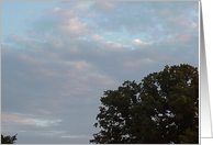 Blue Sky and Oak Trees card