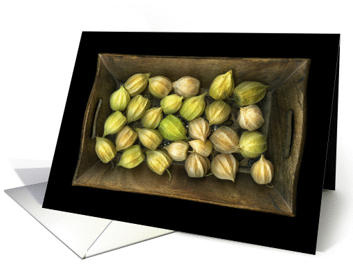 Physalis blank photoart card (1000581)