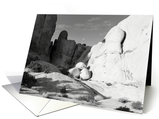 Moonrise Joshua Tree NP, California card (1264234)