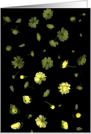 Spring card