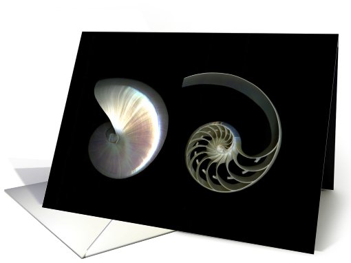 Deconstructed Nautilus card (455081)