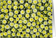 Spring Blossoms card