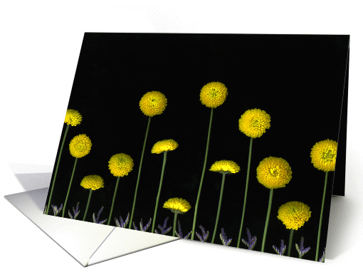 Field of Gold card (455641)