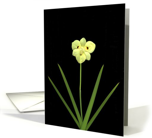 Solitude card (456656)