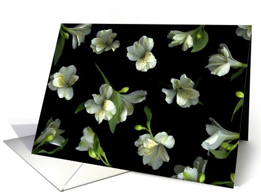 Harmony card (456662)