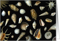 Treasure Of The Sea card