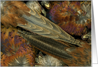 Featherdance card