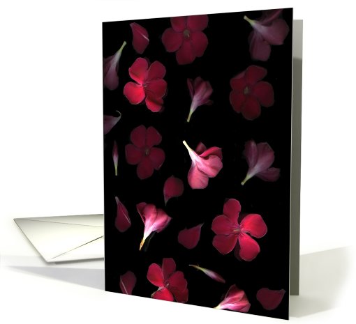 Red Bloom card (464143)