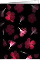 Red Bloom card