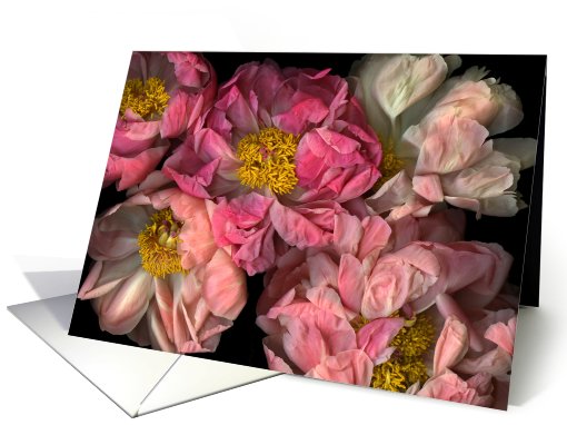 Thank you   -     Photo card (498823)