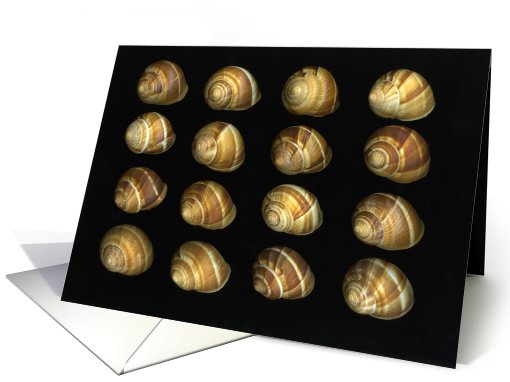 Dinner Party Invitation card (499525)