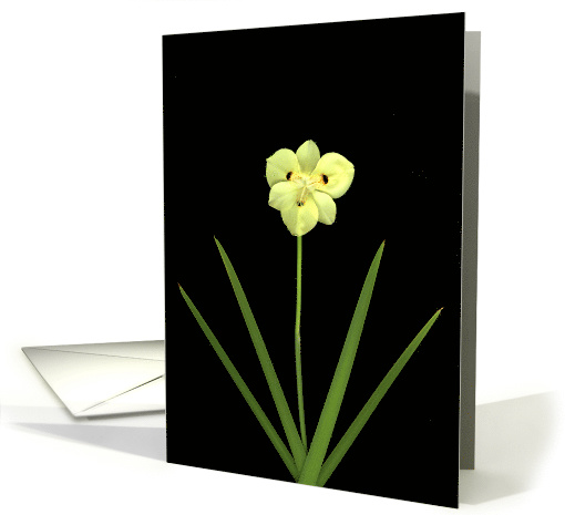 Customer Appreciation Thank You card (512989)