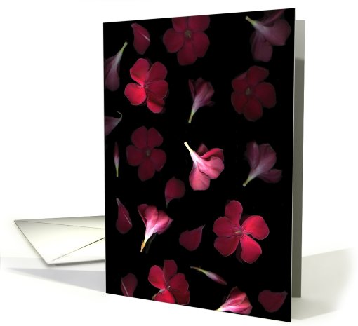 Happy Birthday card (573009)