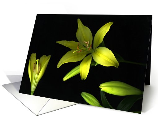 Happy Birthday card (573019)