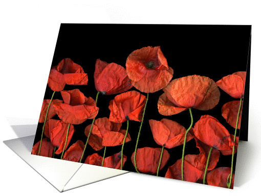 Thinking of you card (995531)