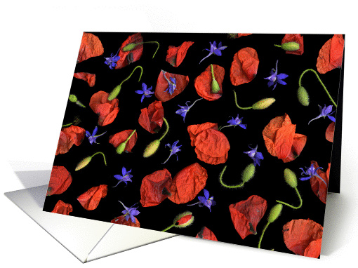Poppies and Petals card (995535)
