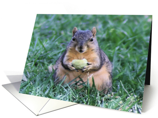 The Squirrel (blank) card (457342)