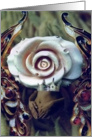 Yoni 1 card
