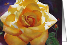 Birthday June Yellow Rose with Butterfly card