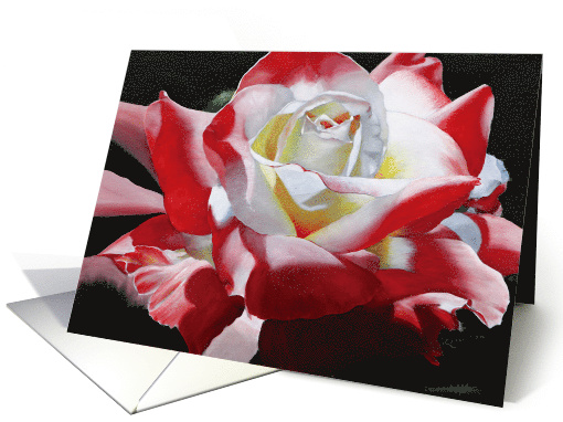 Birthday Red, Yellow and White Rose card (913563)