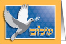 Shalom Dove - Rosh Hashanah Jewish New Year card