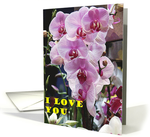 Romance card (465995)