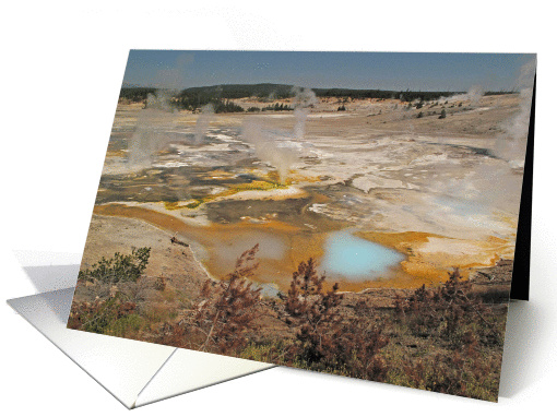 Norris Geyser Basin, Yellowstone National Park card (1141930)