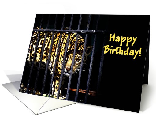 Happy Birthday card (469510)