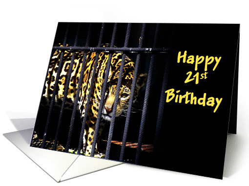 Happy 21st Birthday card (469511)