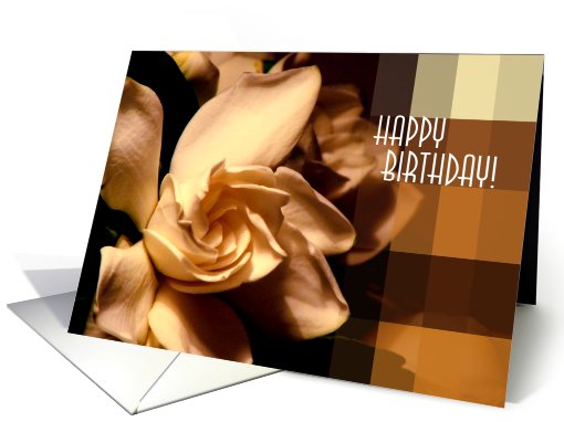 Happy Birthday card (476710)