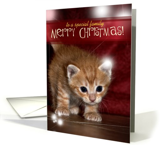 Christmas Kitten card (480001)