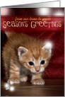 Christmas Kitten card