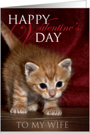 Happy Valentine’s Day Wife card