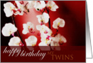 Happy Birthday Twins card