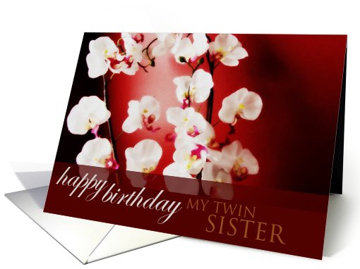 Happy Birthday twin sister card (575997)