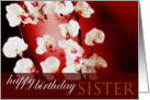 Happy Birthday sister card